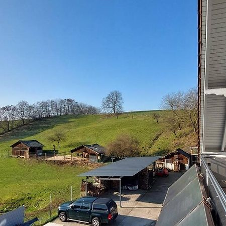 Grosse Tolle 4 Zimmer Ferienwohnung Im Herzen Des Odenwaldes Mörlenbach 외부 사진