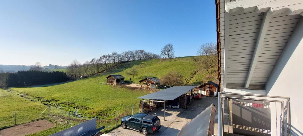 Grosse Tolle 4 Zimmer Ferienwohnung Im Herzen Des Odenwaldes Mörlenbach 외부 사진