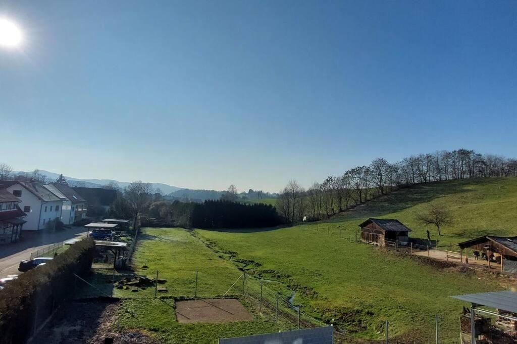 Grosse Tolle 4 Zimmer Ferienwohnung Im Herzen Des Odenwaldes Mörlenbach 외부 사진