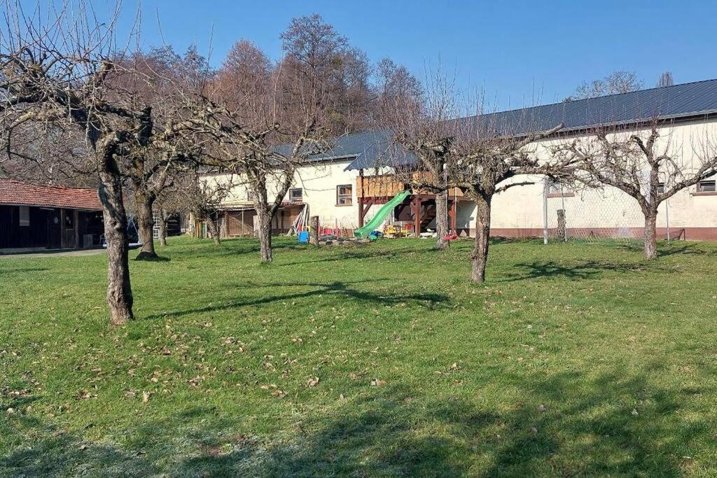 Grosse Tolle 4 Zimmer Ferienwohnung Im Herzen Des Odenwaldes Mörlenbach 외부 사진