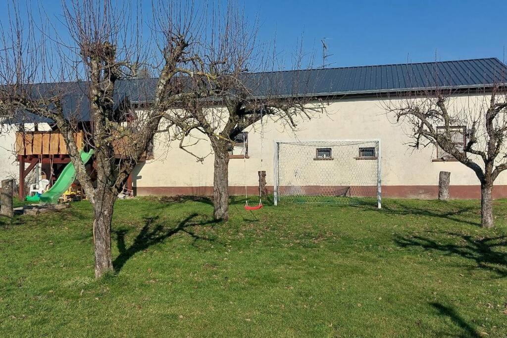 Grosse Tolle 4 Zimmer Ferienwohnung Im Herzen Des Odenwaldes Mörlenbach 외부 사진
