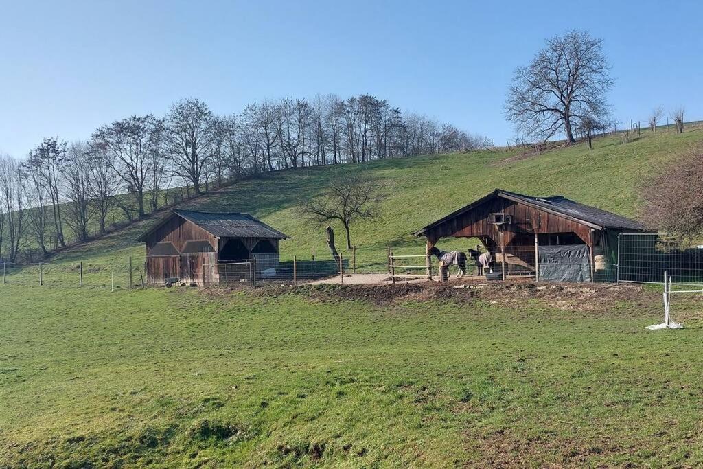 Grosse Tolle 4 Zimmer Ferienwohnung Im Herzen Des Odenwaldes Mörlenbach 외부 사진