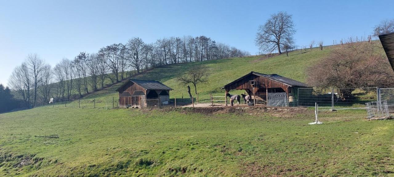 Grosse Tolle 4 Zimmer Ferienwohnung Im Herzen Des Odenwaldes Mörlenbach 외부 사진